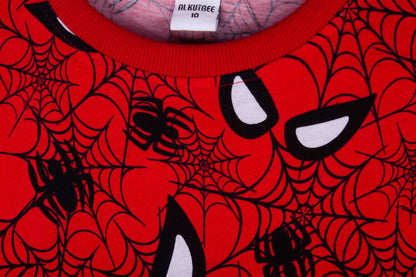 Mysterious Spiderman