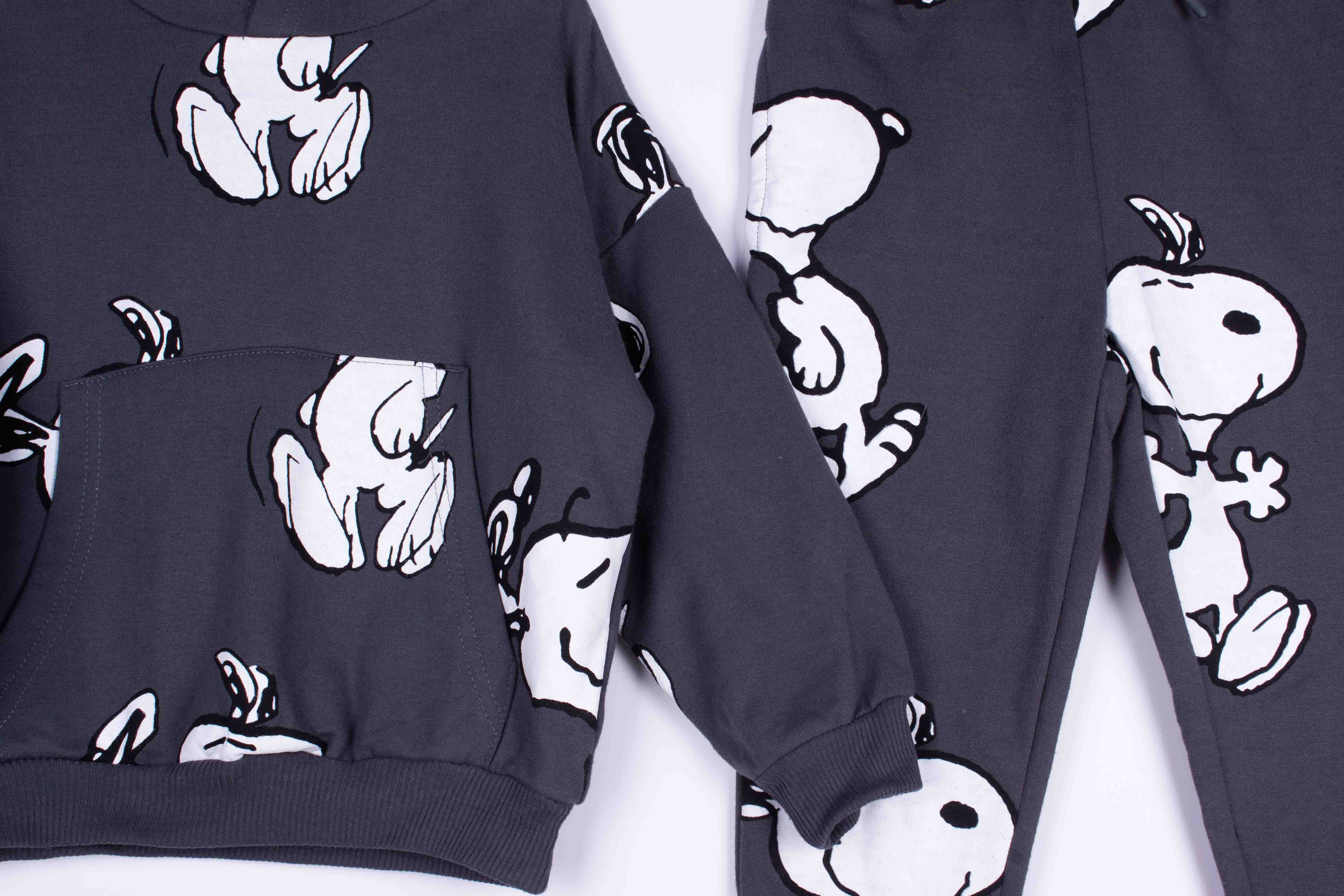 Snoozy Snoopy Hoodie