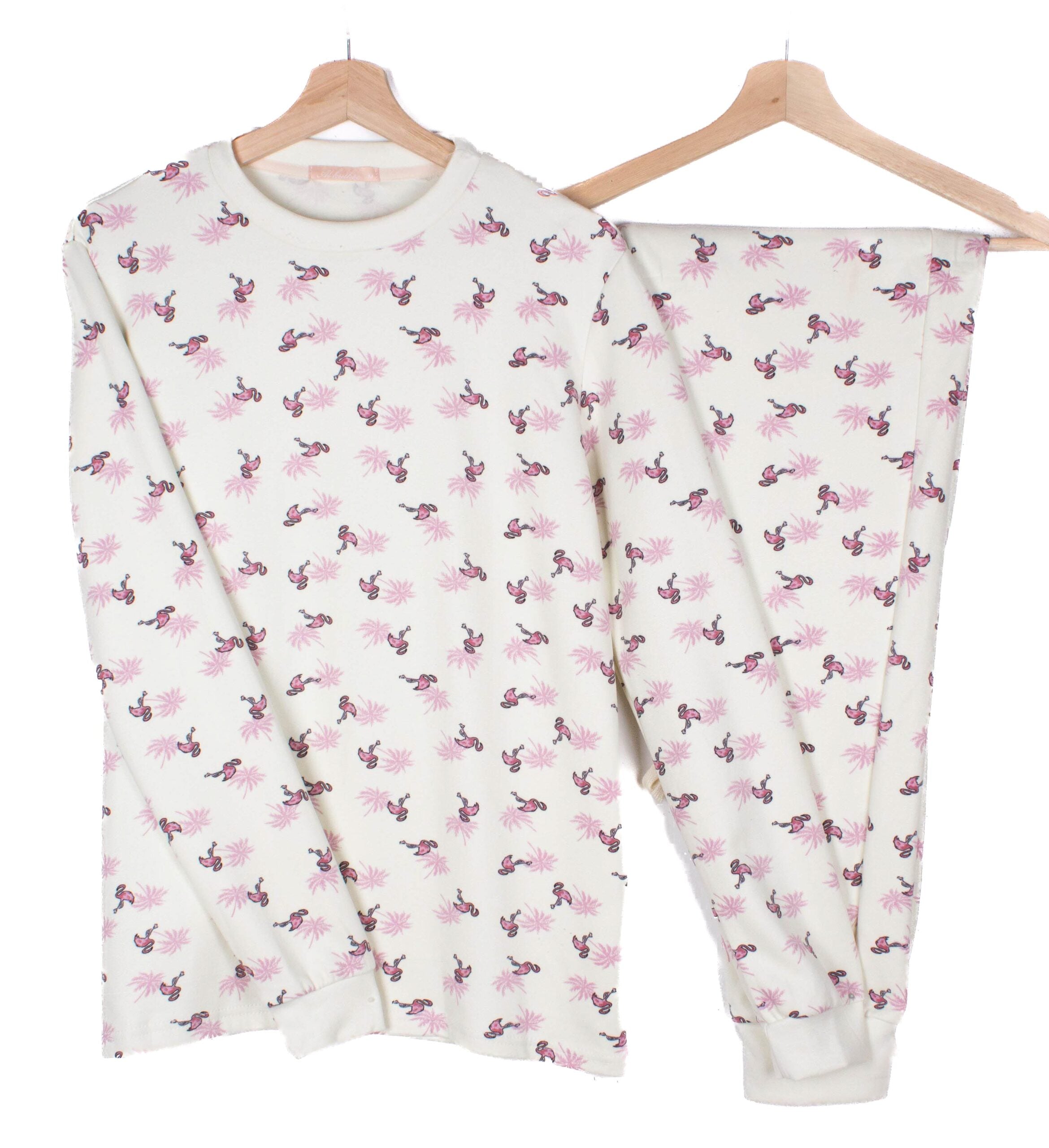 Winter Flamingos