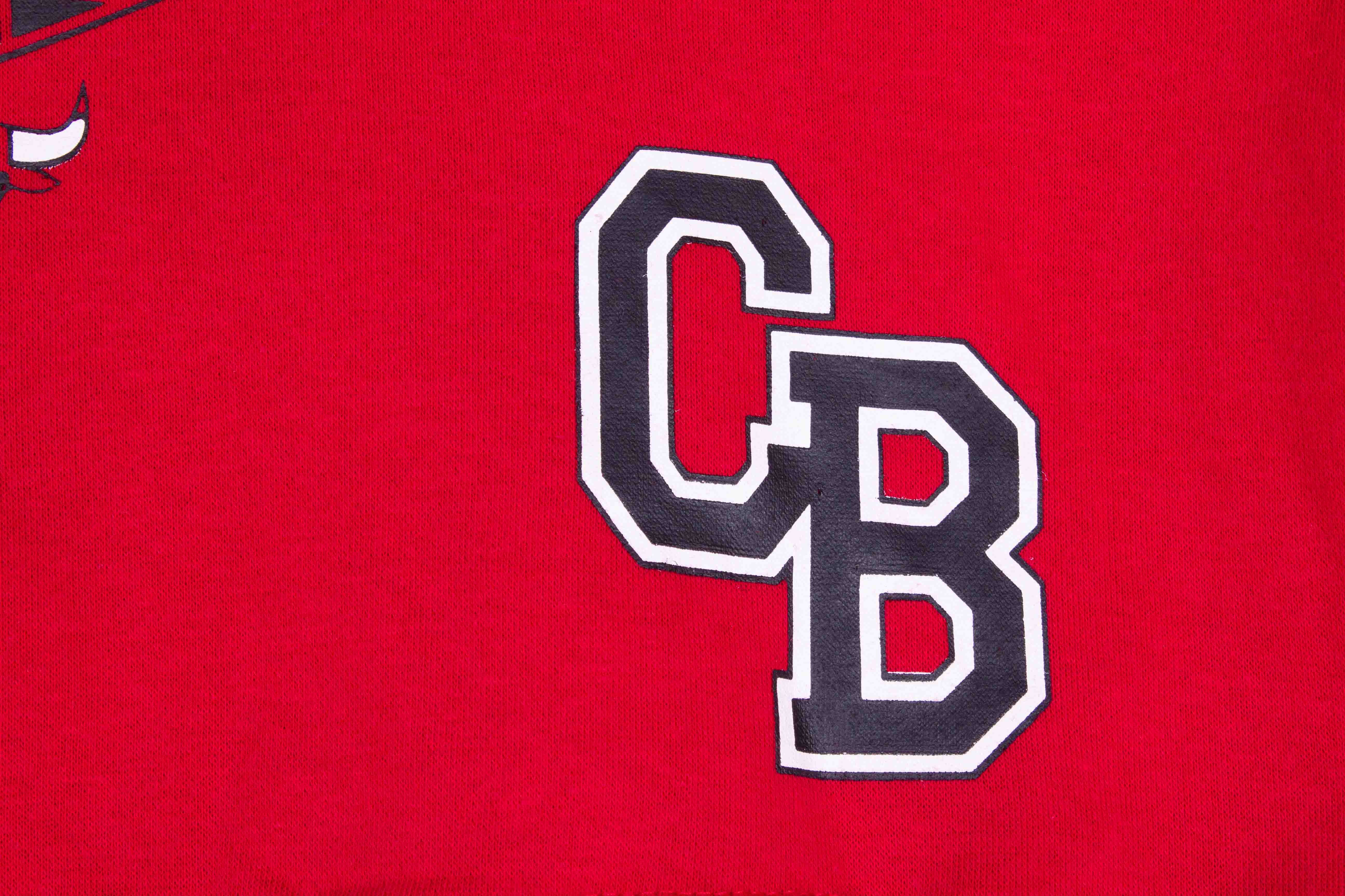 Chicago Bulls Power