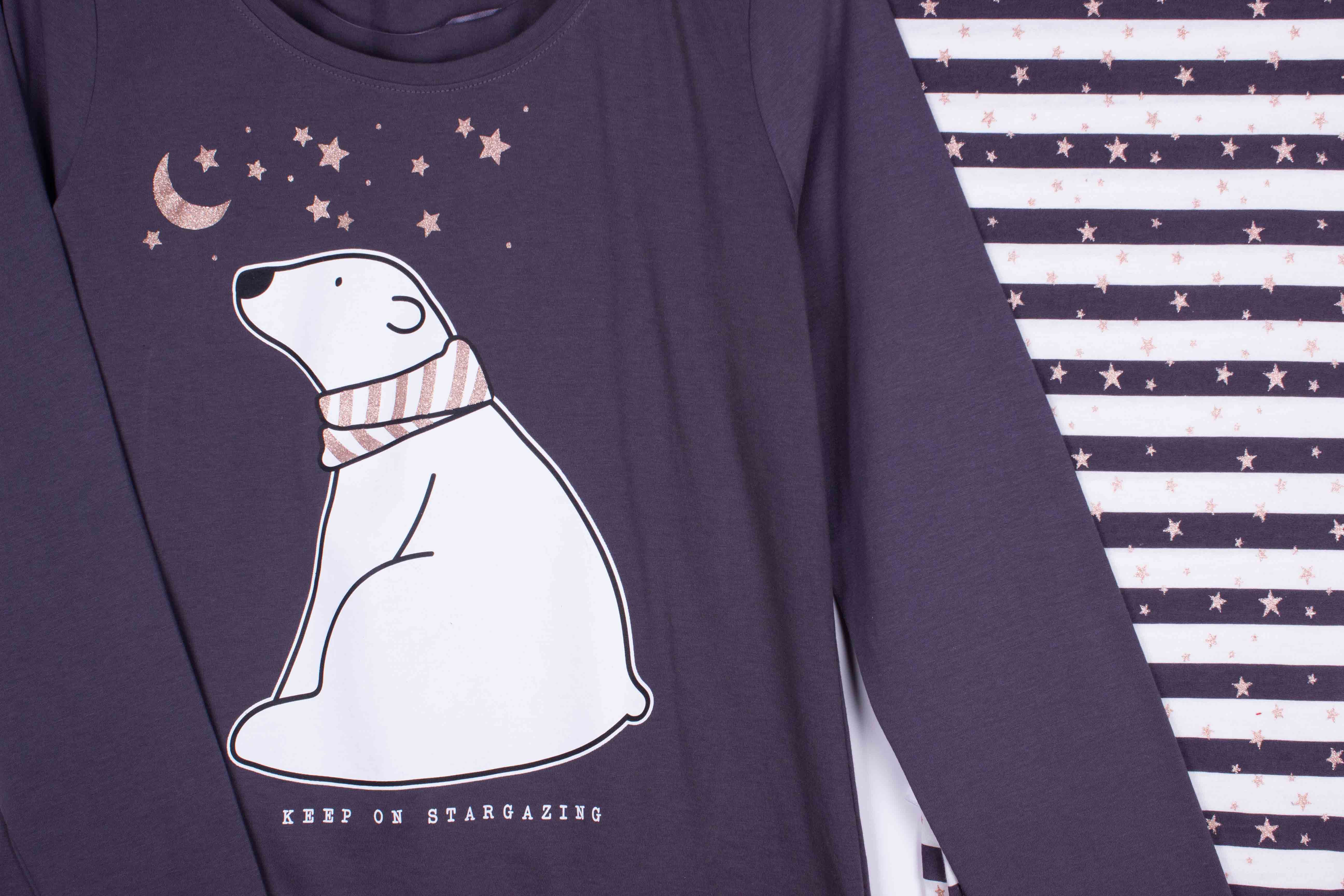 Stargazing Bear