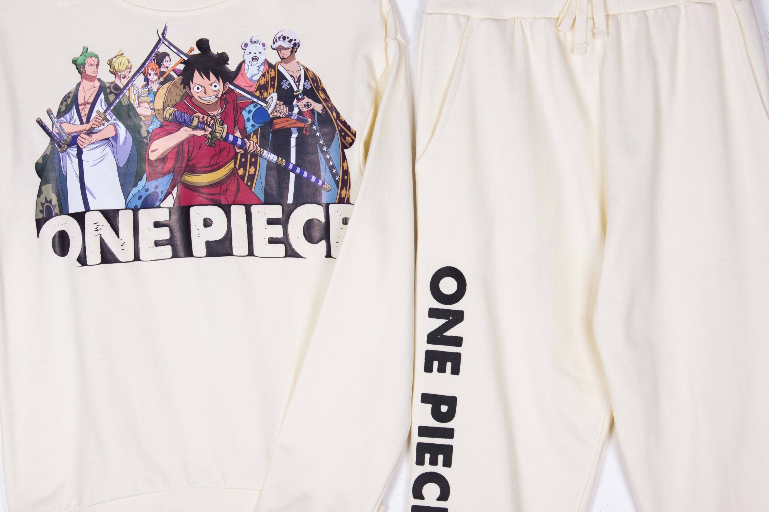 New One Piece Cartoon