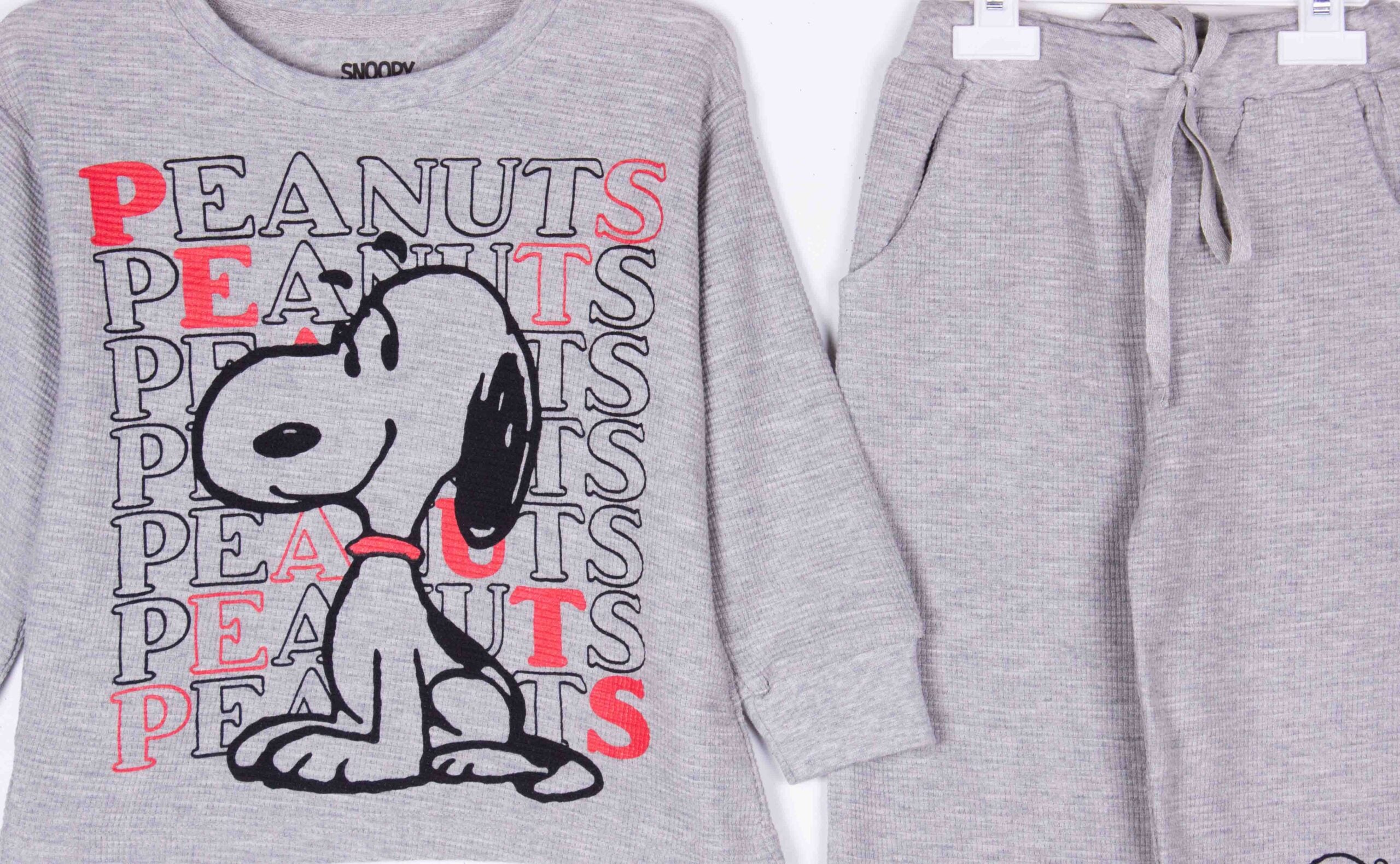 Grey Peanuts Snoopy