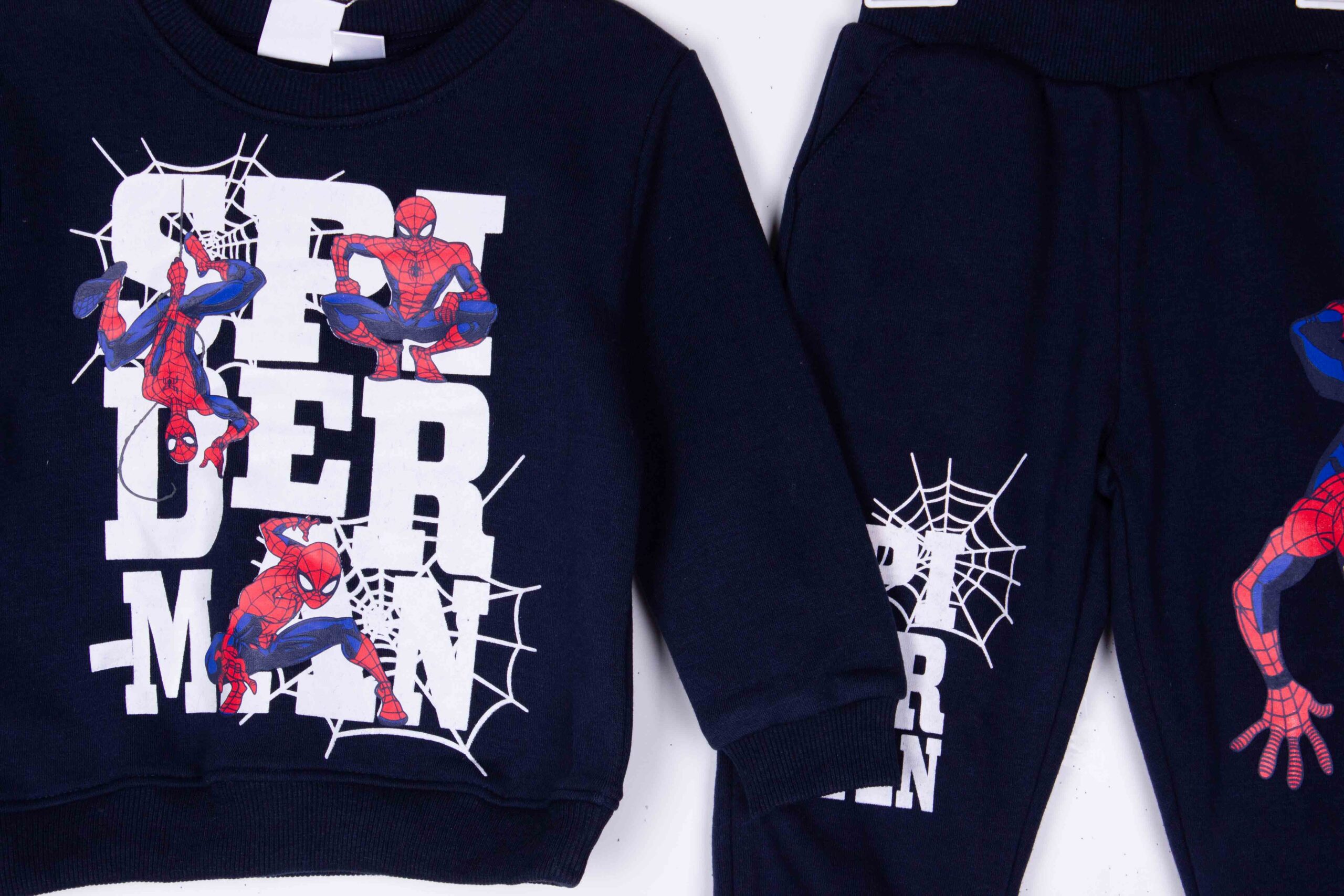 Spiderman Hero