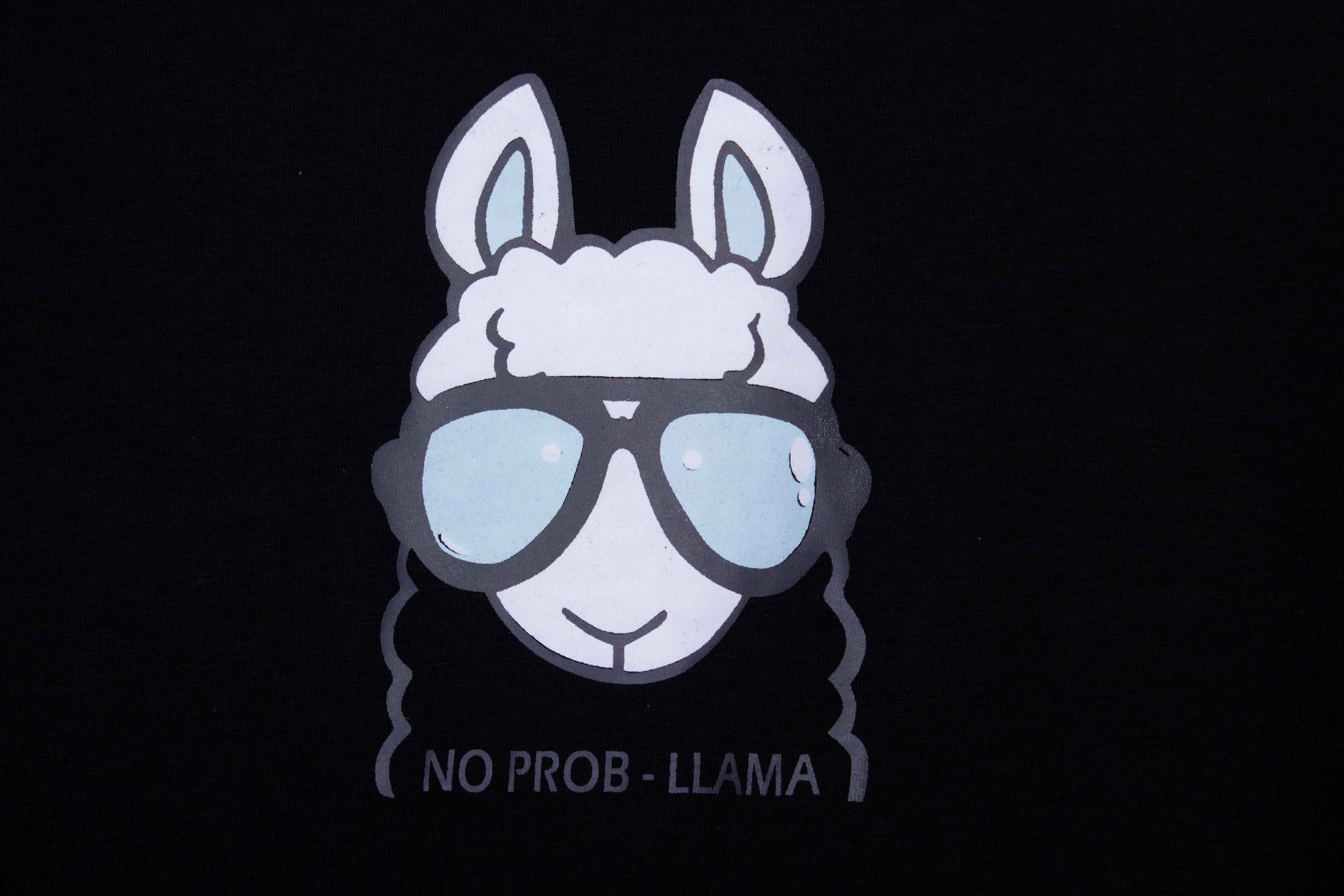 No-Prob Llama