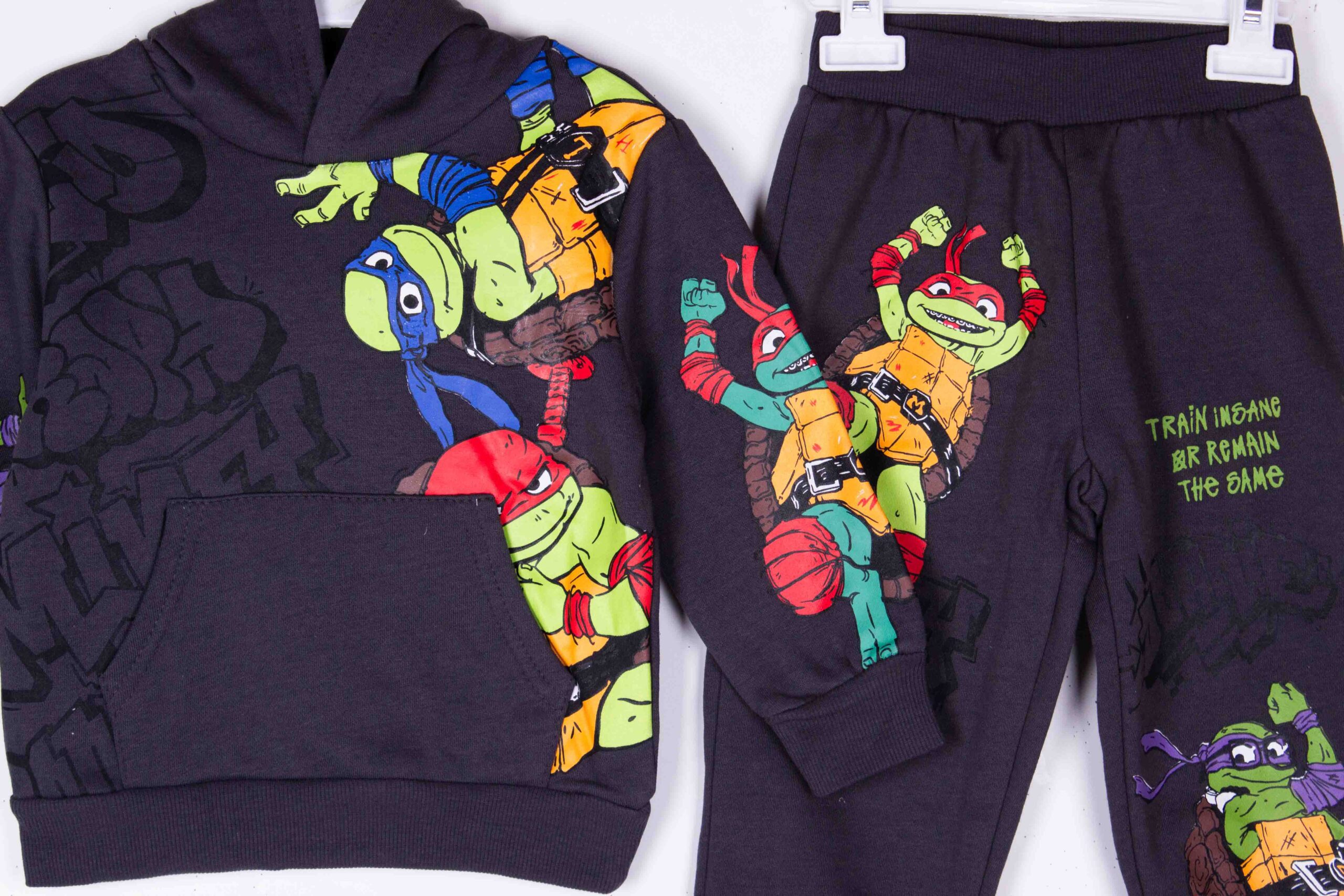 Ninja Turles Hoodie