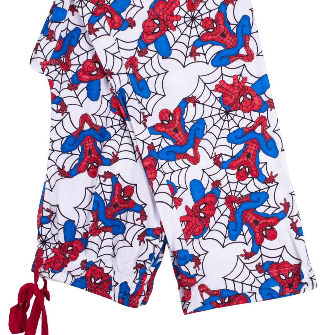 Spider-Man Webs