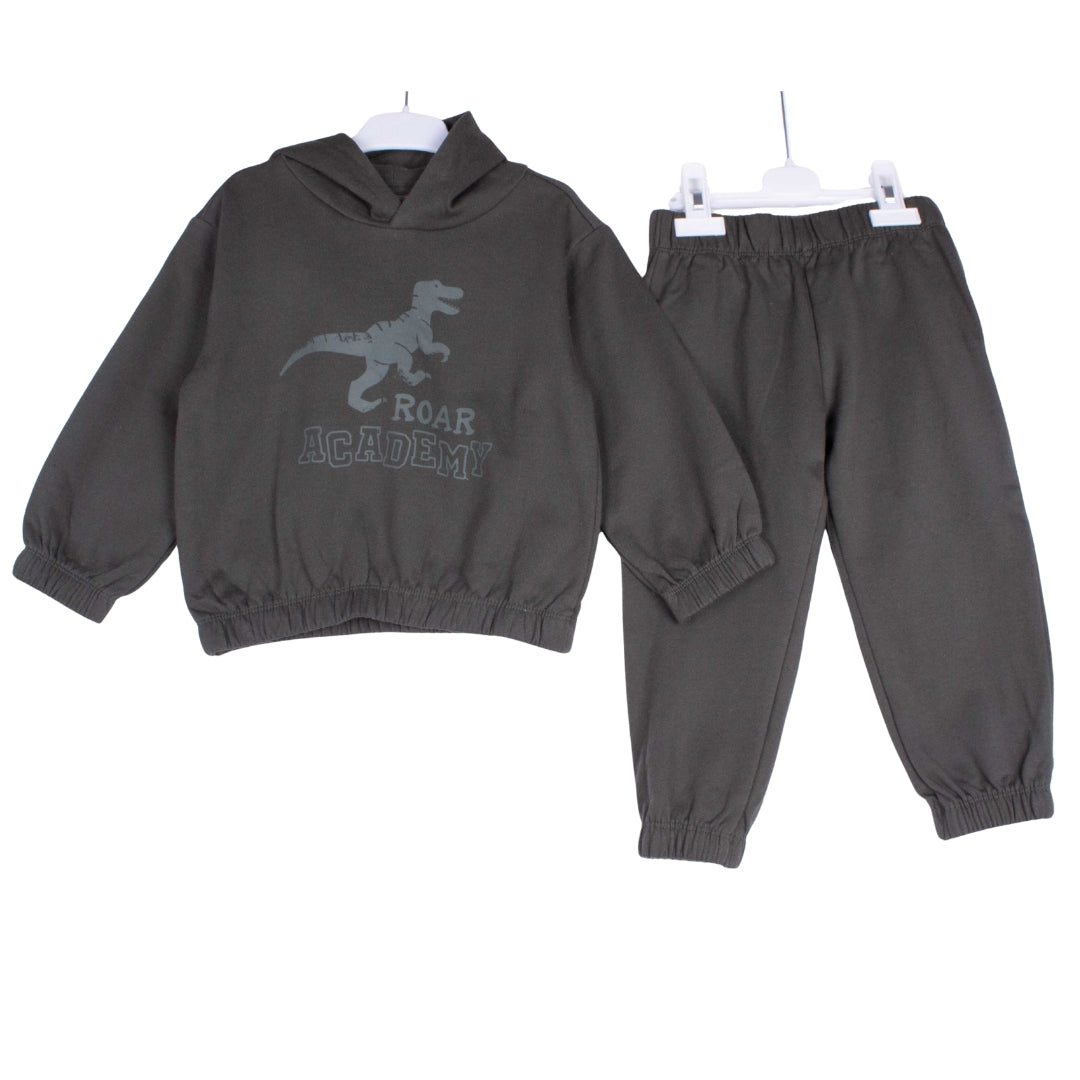 Roar Academy Hoodie