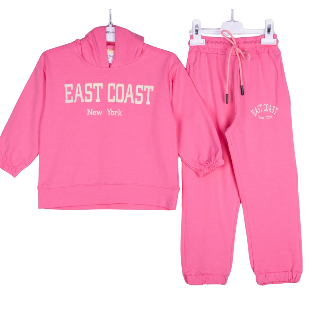 East Coast New York Pink Hoodie