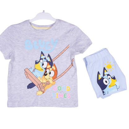 Bluey Swinging