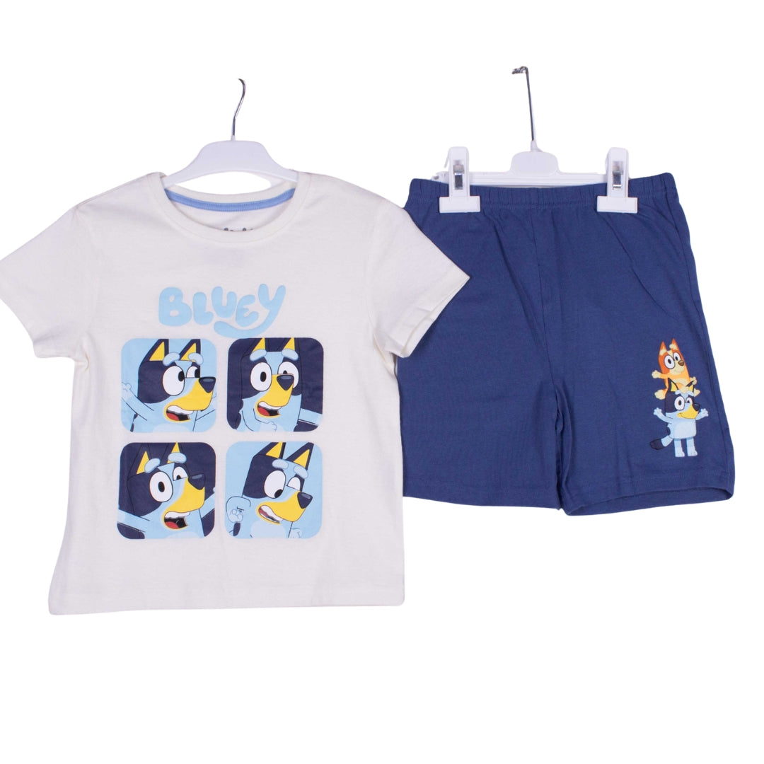 Bluey Cute Squares