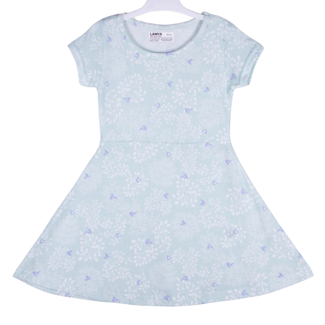 Sky Blue Floral Dress
