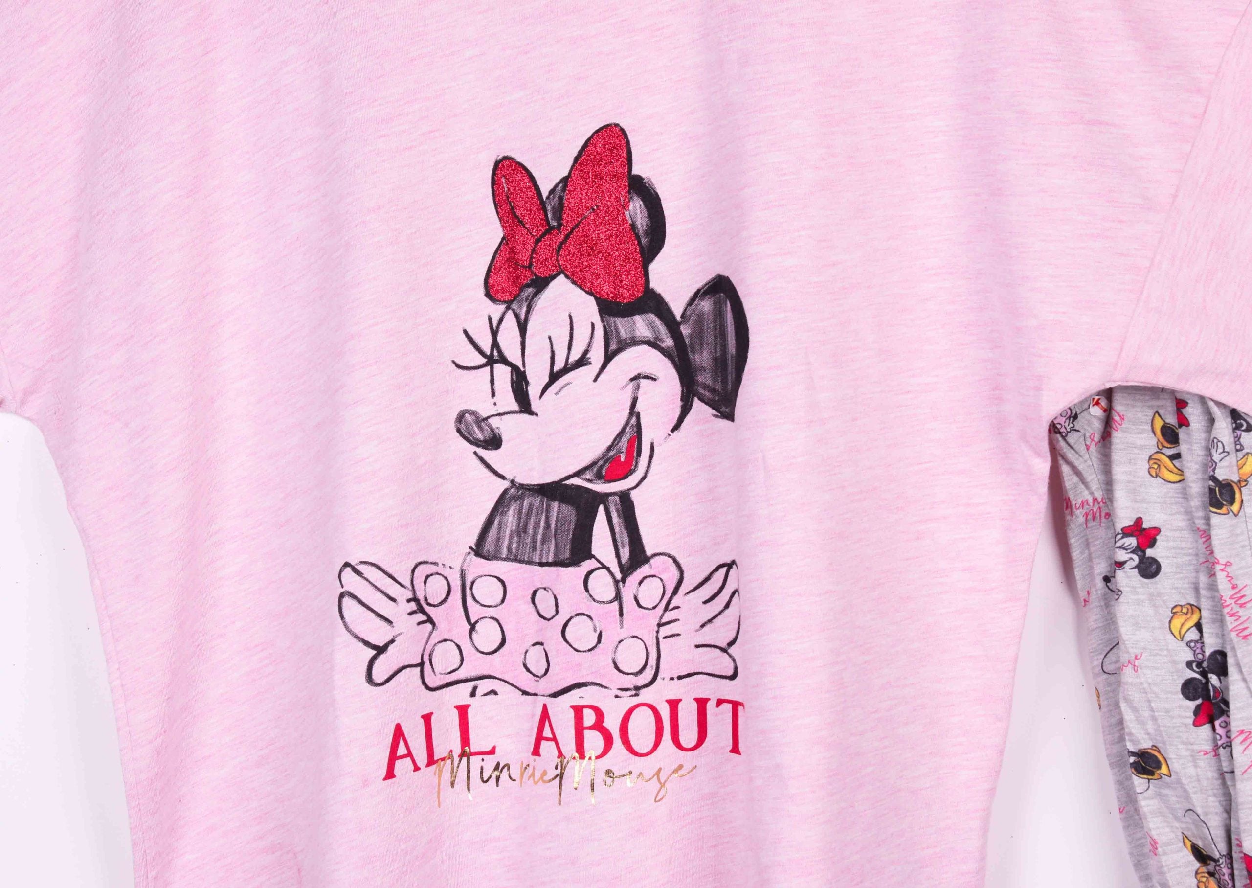 All About Minnie Mouse